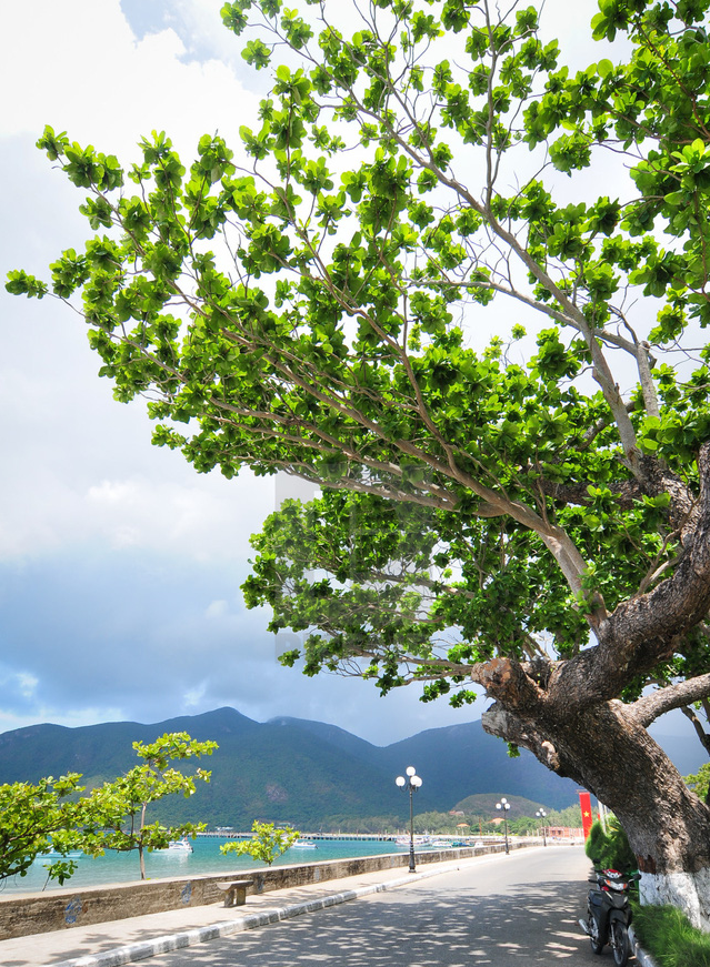 Côn Đảo: điểm đến thích hợp nhất để du lịch trở lại - Ảnh 3.
