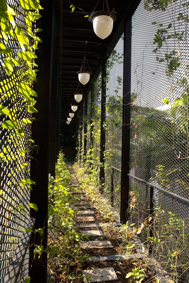 Chiêm ngưỡng biệt thự xanh đáng kinh ngạc ở Singapore - Ảnh 13.