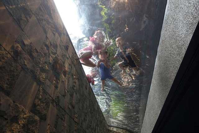 Chiêm ngưỡng biệt thự xanh đáng kinh ngạc ở Singapore - Ảnh 14.