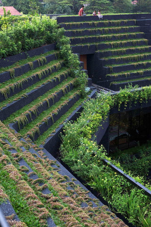 Chiêm ngưỡng biệt thự xanh đáng kinh ngạc ở Singapore - Ảnh 4.