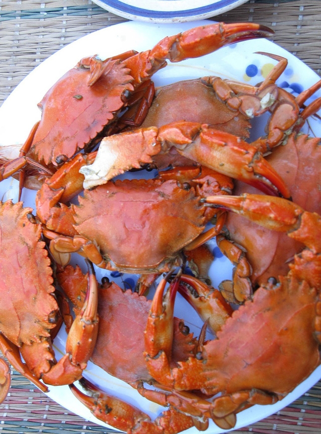 Đi biển Sa Huỳnh, nên ăn đặc sản gì? - Ảnh 2.