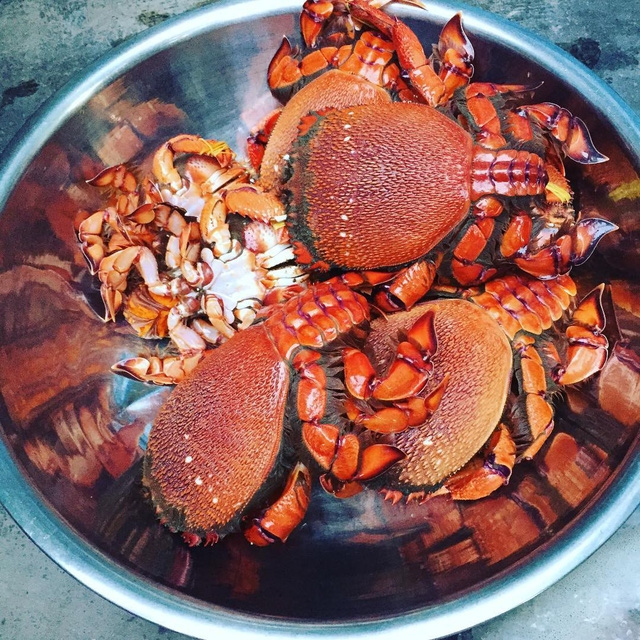 Đã vào mùa cua huỳnh đế Lý Sơn - Ảnh 2.