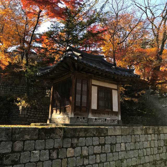 Cung điện Changdeokgung – nơi đẹp nhất để ngắm mùa thu Hàn Quốc - Ảnh 12.