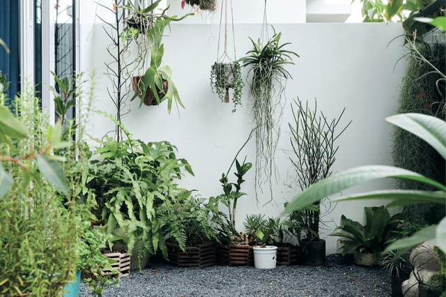 5 ban công đầy cây xanh đáng để tham khảo - Ảnh 2.