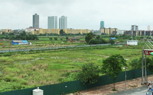 Với nhà, đất phục vụ đối ngoại cho tổ chức nước ngoài có chức năng ngoại
 giao, văn phòng nước ngoài thuê không thuộc nhiệm vụ Nhà nước giao thì 
đơn vị được giao trực tiếp quản lý nhà, đất phục vụ đối ngoại phải nộp 
tiền thuê đất theo quy định của pháp luật. 