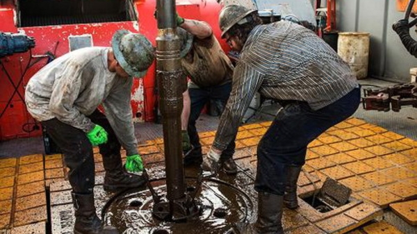 Giá dầu tăng hơn 10% trong tuần 