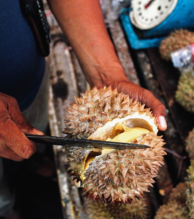 Davao: nên đến một lần - Ảnh 5.