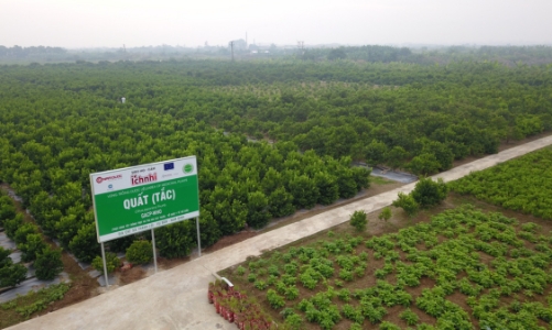Nam Dược: từ dược liệu chuẩn hóa đến sản phẩm hiệu quả cao