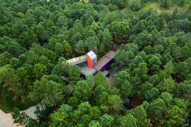 Ra mắt Bảo tàng Nghệ thuật Đương đại Flamingo - Ảnh 2.