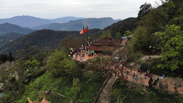 Yên Tử: mai vàng đã nở - Ảnh 11.