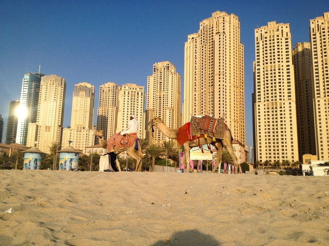 Dubai: sự quyến rũ của những điều đối lập - Ảnh 11.