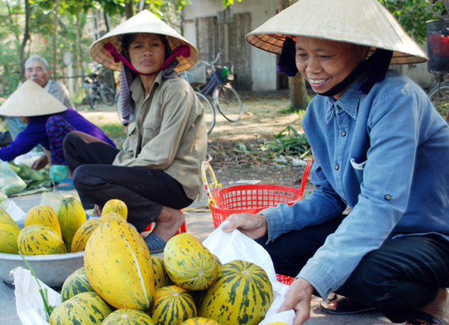 Dưa bở được mùa, giá rẻ - Ảnh 1.