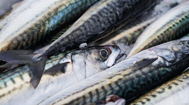 Làm sao để né thực phẩm chứa formol? - Ảnh 2.