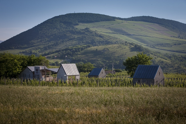 Mùa thu sang Hungary tắm khoáng nóng - Ảnh 13.