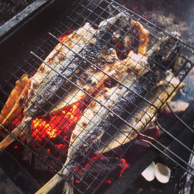 Về Núi Thành ăn cá chuồn xanh - Ảnh 3.