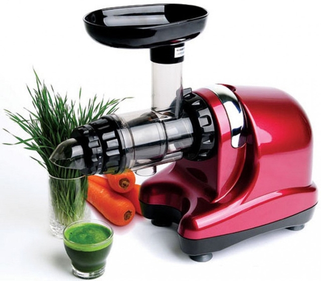 Bạn chọn máy ép chậm nào cho gian bếp? - Ảnh 1.