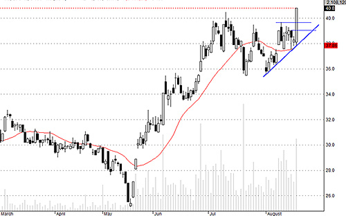 HCM hút tiền rất mạnh hôm nay.