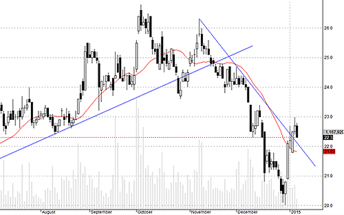 HAG đang điều chỉnh ngắn hạn bình thường.