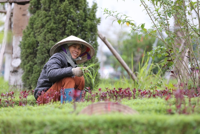 Hà Nội gấp rút hoàn tất việc trang hoàng trước thềm hội nghị thượng đỉnh Mỹ - Triều - Ảnh 10.