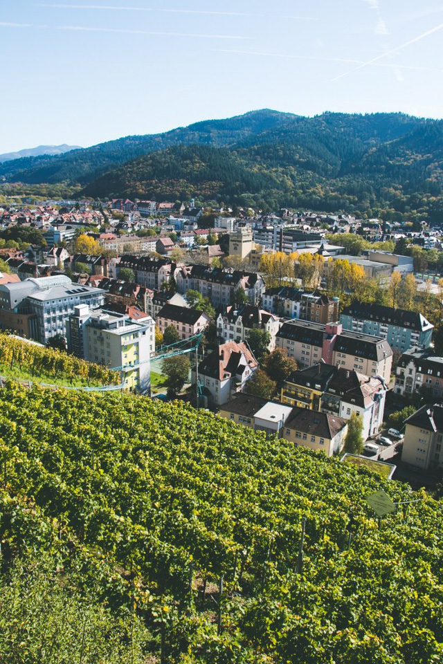 Freiburg: thành phố xanh đẹp như cổ tích - Ảnh 16.