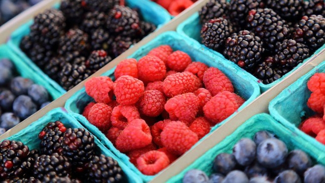 Mùa hè này... ăn kiêng thế nào? - Ảnh 9.