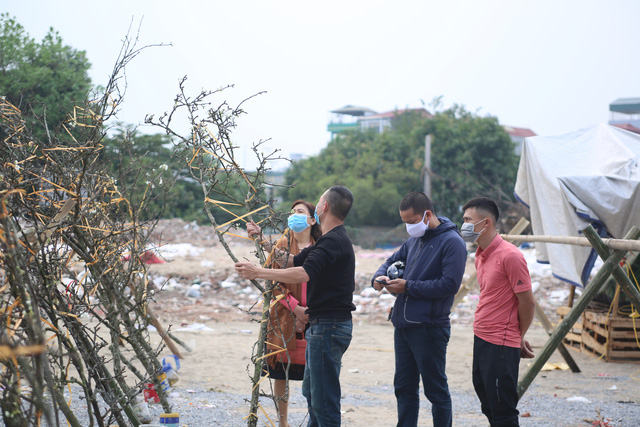 Hoa lê trắng giá rẻ hơn mọi năm nhưng vẫn vắng khách - Ảnh 4.