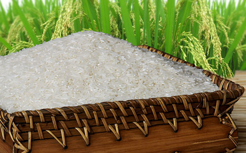 Đề án đặt ra mục tiêu đạt 50% sản lượng gạo xuất khẩu mang thương hiệu gạo Việt Nam, 
trong đó 30% tổng sản lượng gạo xuất khẩu là nhóm gạo thơm và gạo đặc 
sản.<br>