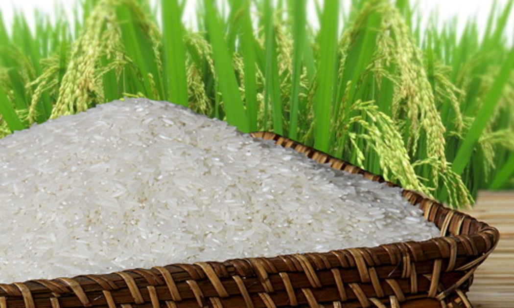 7 tháng đầu năm 2015, Việt Nam xuất khẩu 3,3 triệu tấn gạo, giảm 8,8% so với cùng kỳ.<br>