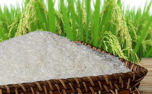 7 tháng đầu năm 2015, Việt Nam xuất khẩu 3,3 triệu tấn gạo, giảm 8,8% so với cùng kỳ.<br>