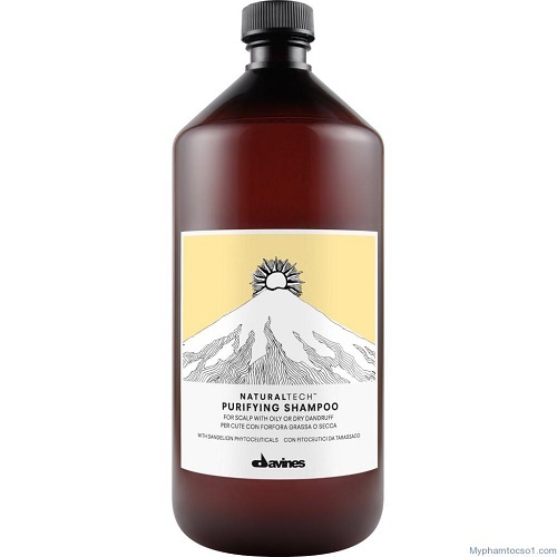 5 dầu gội trị gàu hiệu quả mà bạn nên thử - Ảnh 1.