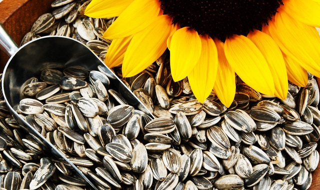 10 loại thực phẩm kích thích tóc mọc nhanh bất ngờ - Ảnh 5.