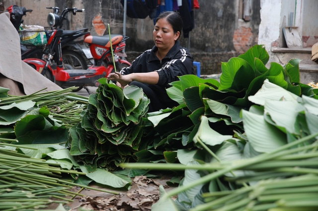 Làng lá dong Tràng Cát: những ngày bận rộn nhất trong năm - Ảnh 6.