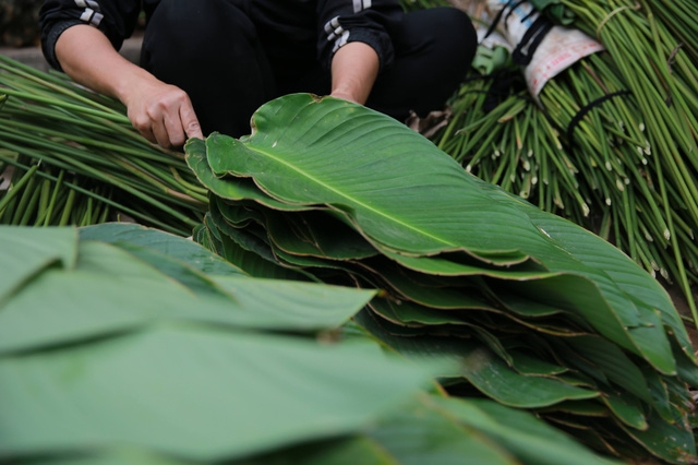 Làng lá dong Tràng Cát: những ngày bận rộn nhất trong năm - Ảnh 7.