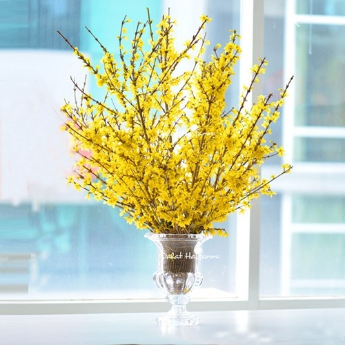 Tết này, bạn cắm hoa gì để mang lại may mắn, phúc lộc? - Ảnh 4.