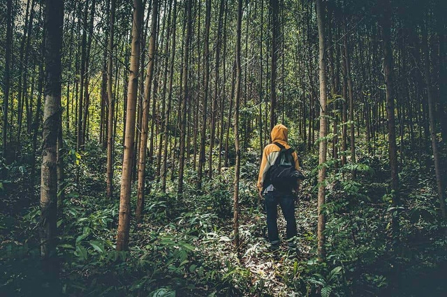 8 địa điểm để bạn làm quen với trekking tại Việt Nam - Ảnh 13.