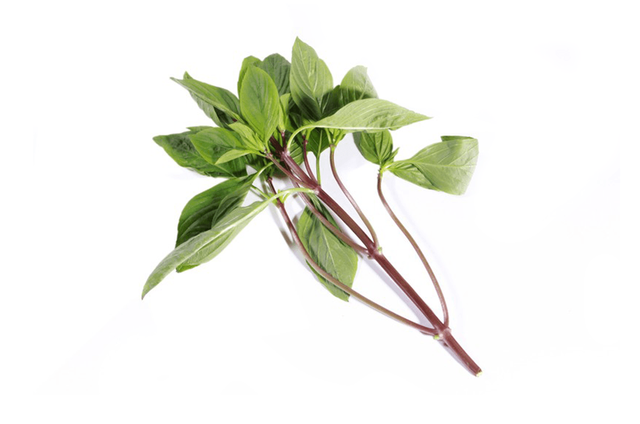 6 liều kháng sinh tự nhiên có trong bếp - Ảnh 1.