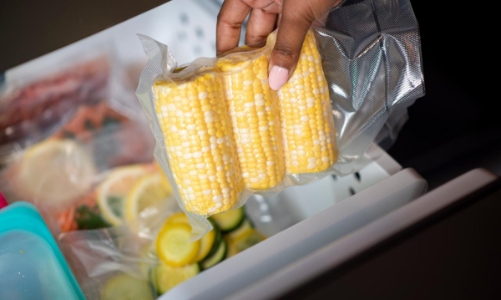 Có nên sắm máy hút chân không để bảo quản thực phẩm?