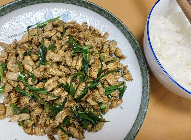 Mùa nhộng tằm, lưu ý khi chọn mua và chế biến - Ảnh 2.