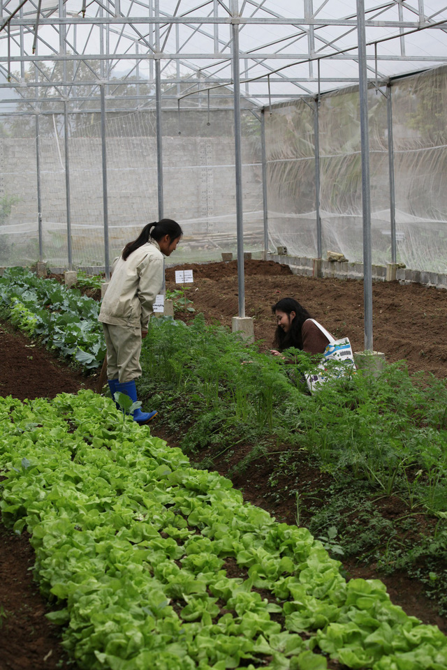 Hành trình tìm về khu vườn quê bình yên và xinh đẹp - Ảnh 3.