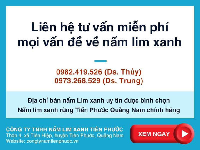 Thực hư việc nấm lim xanh trị bách bệnh - Ảnh 4.