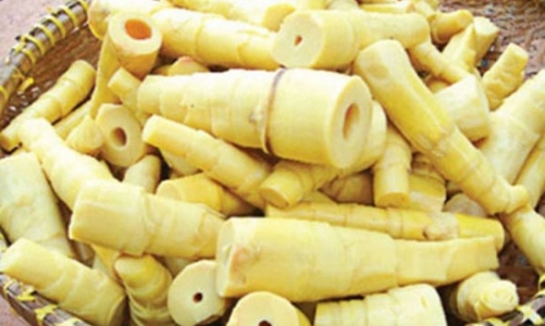 Măng tươi: Cách khử độc và chế biến những món ngon, dễ làm