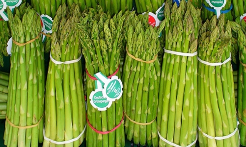 Măng tây, đệ nhất trong các loại rau tươi