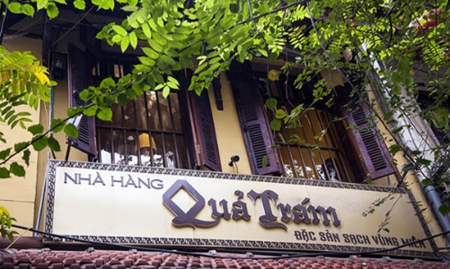 Quả Trám và câu chuyện về “trái olive của Việt Nam”