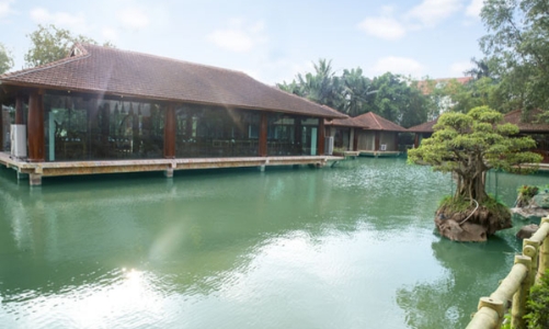 Đầu năm nếm món ba ba Hương Quê