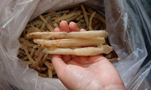 Sá sùng: món ăn đại bổ