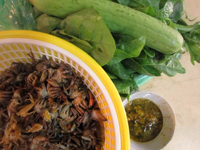 Có con cua đồng nấu lá mồng tơi… - Ảnh 2.