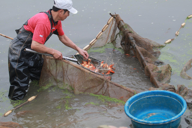 Thủy Trầm - mùa chép đỏ lặng lẽ - Ảnh 3.