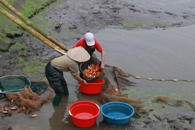 Thủy Trầm - mùa chép đỏ lặng lẽ - Ảnh 4.