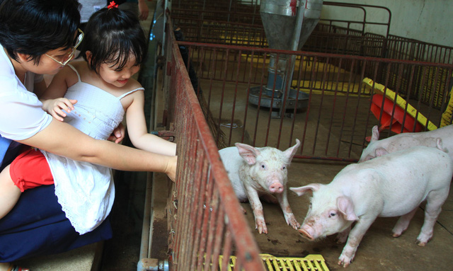 Hành trình tìm về khu vườn quê bình yên và xinh đẹp - Ảnh 1.