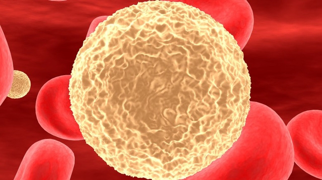 Thời tiết thay đổi ảnh hưởng đến cơ thể bạn như thế nào? - Ảnh 4.